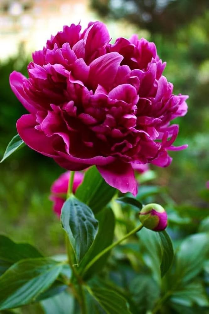 Test Blog One