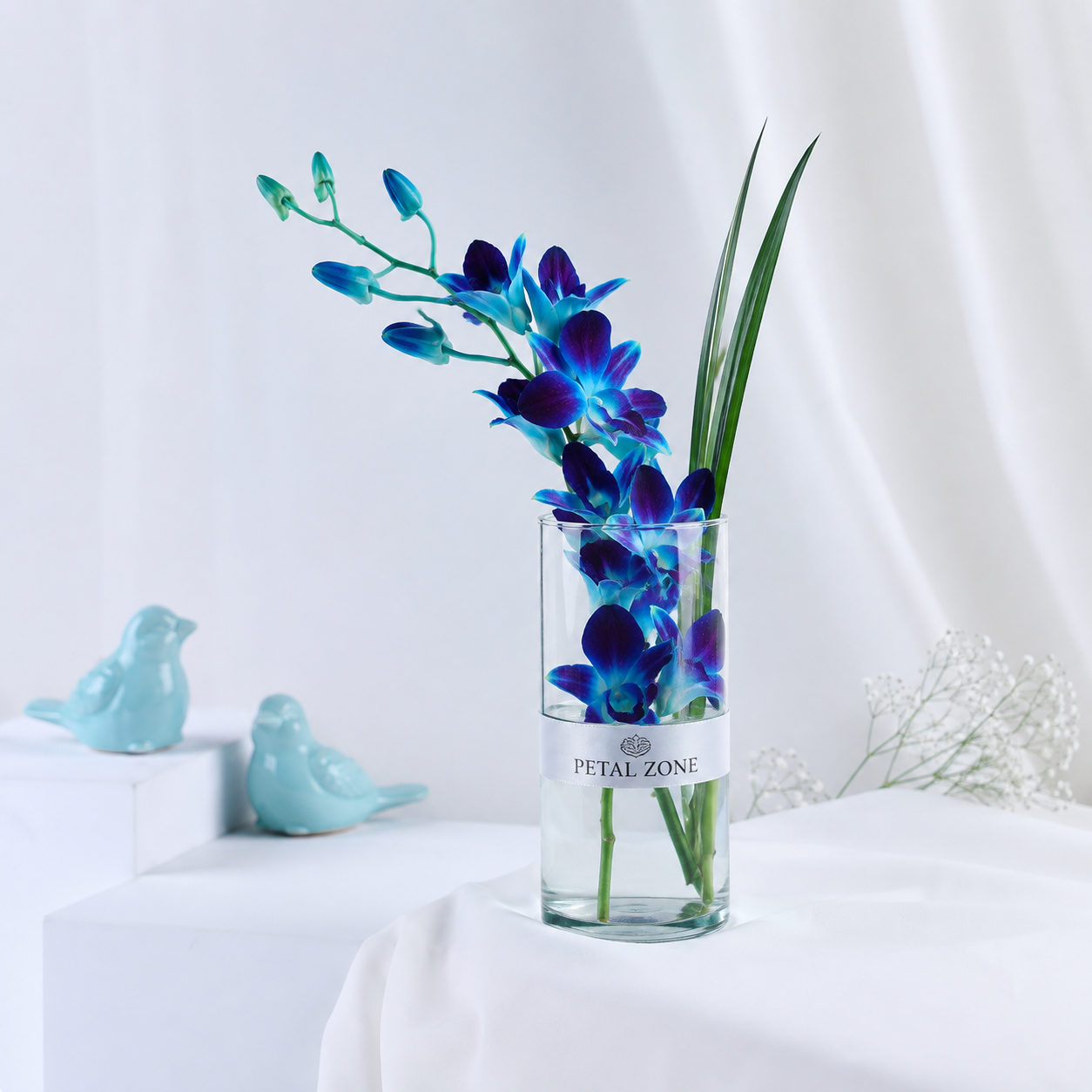 A Vase of Azure Dreams – 10 Blue Orchids 2